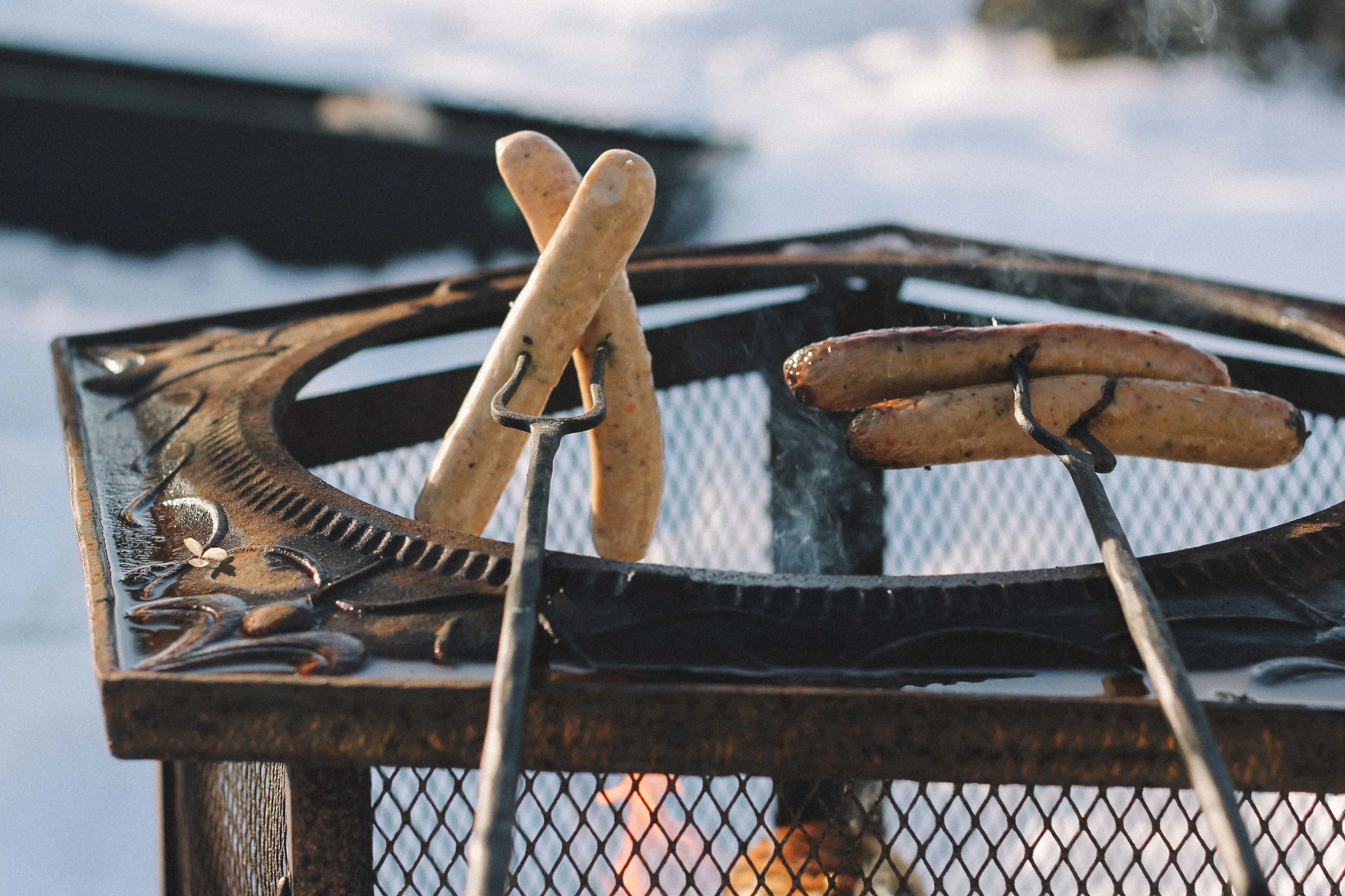 Winter Picnic-10.jpg