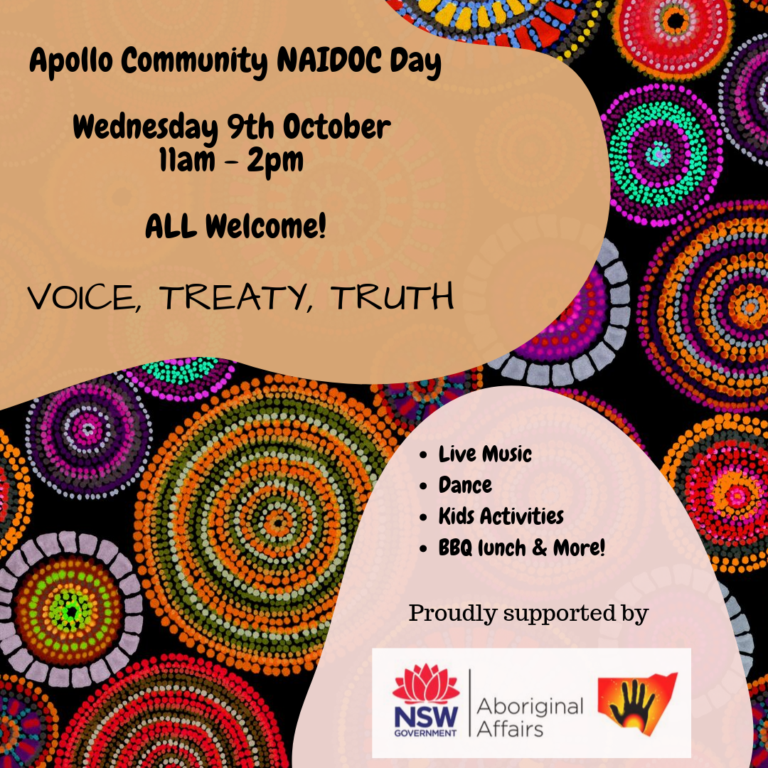 Apollo Community NAIDO Day 2019.png