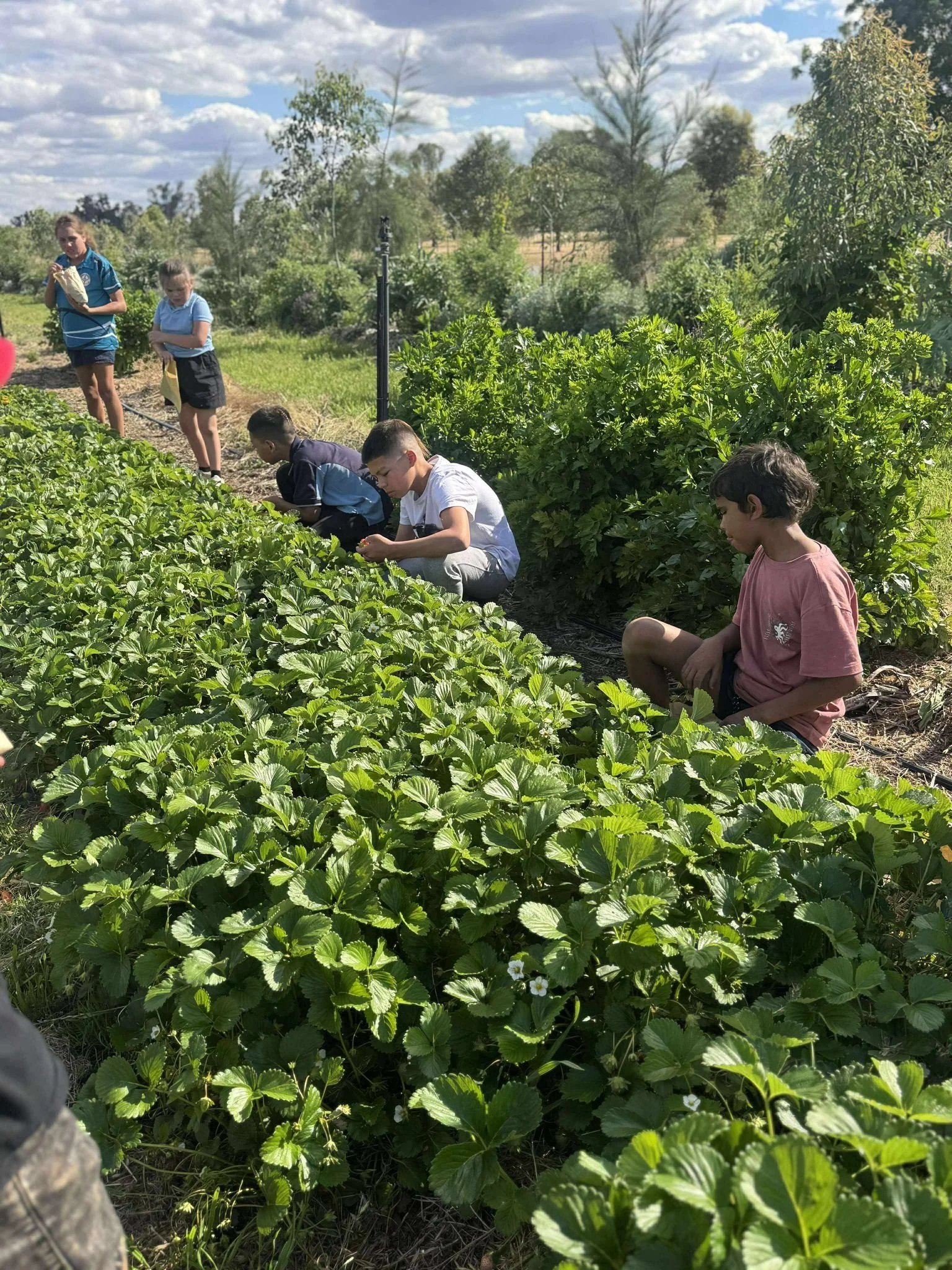 WhatsApp Image 2026-03-09 at 2.23.06 PM.jpeg