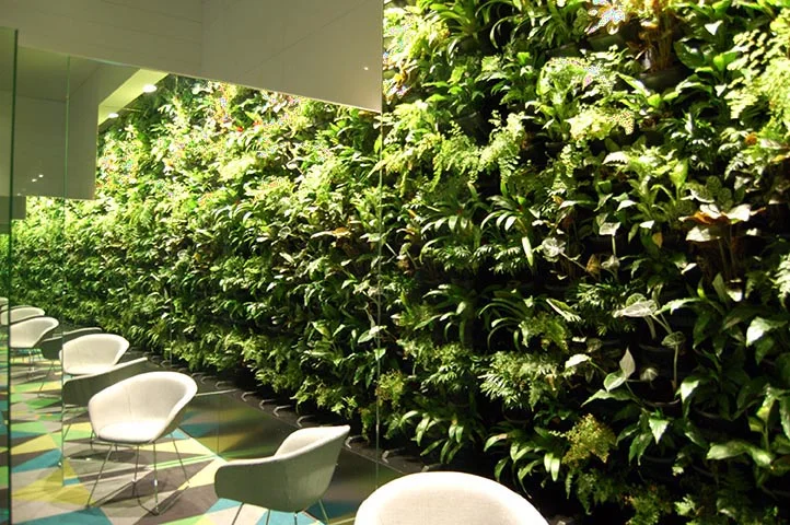 Green wall.jpg