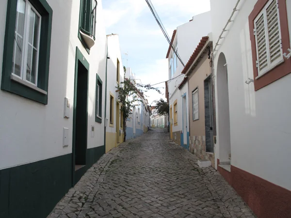IMG_9635.jpg