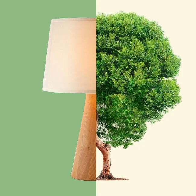 Hotel Design: Trends that Inspired Us