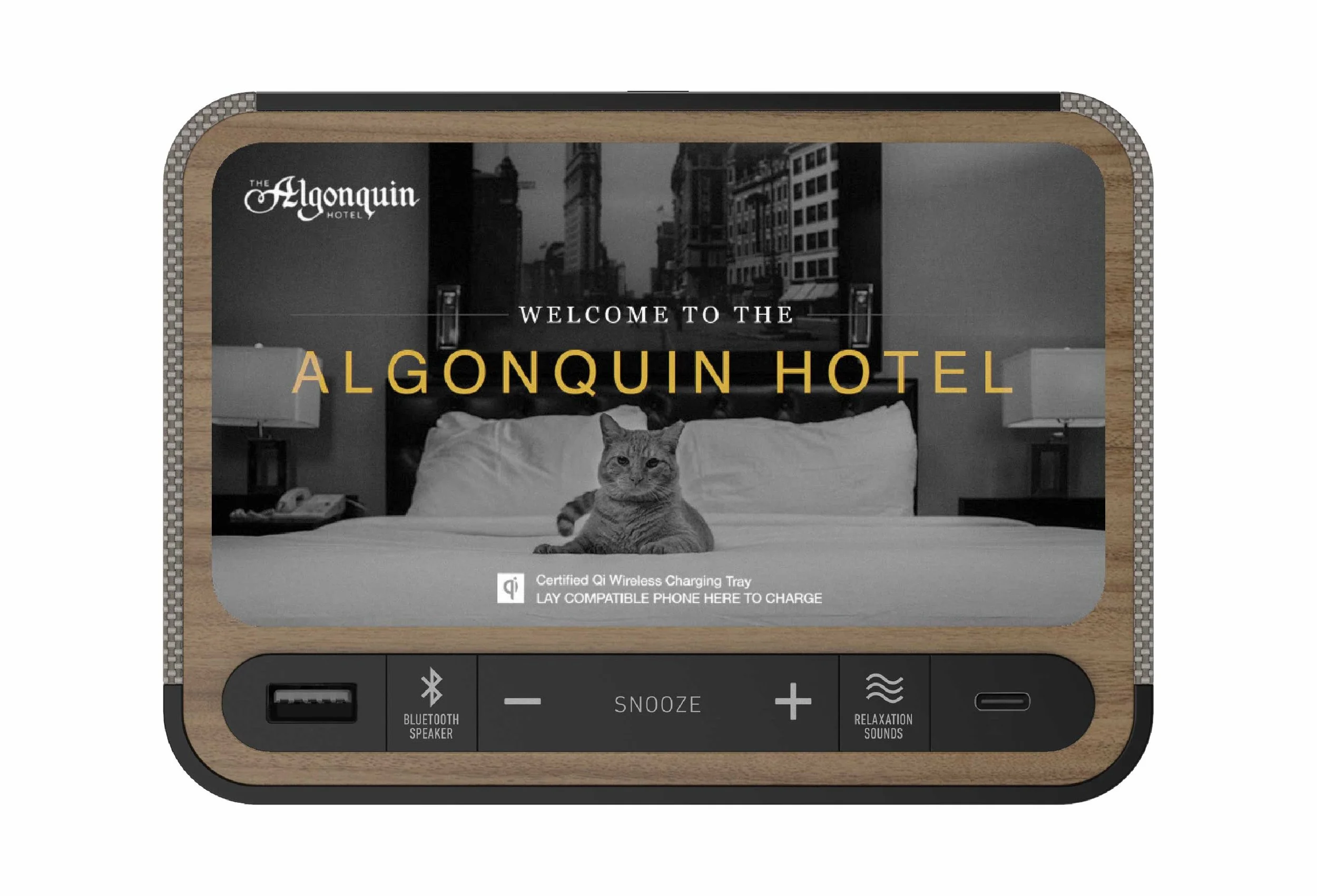 11-station-a-gallery-algonquin-hotel-cat.jpg