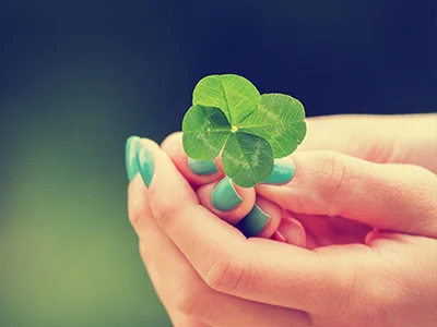 Annexio-Irish-License-Image2.jpg