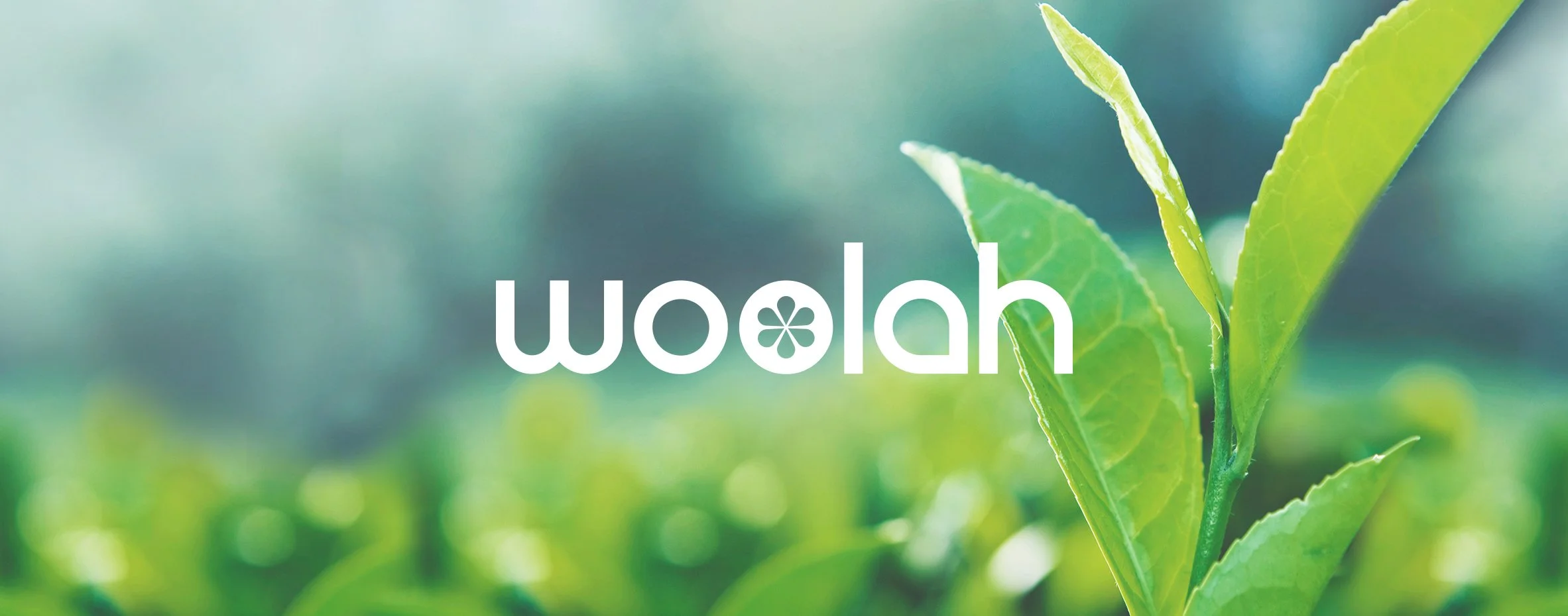 woolah_cover.jpg