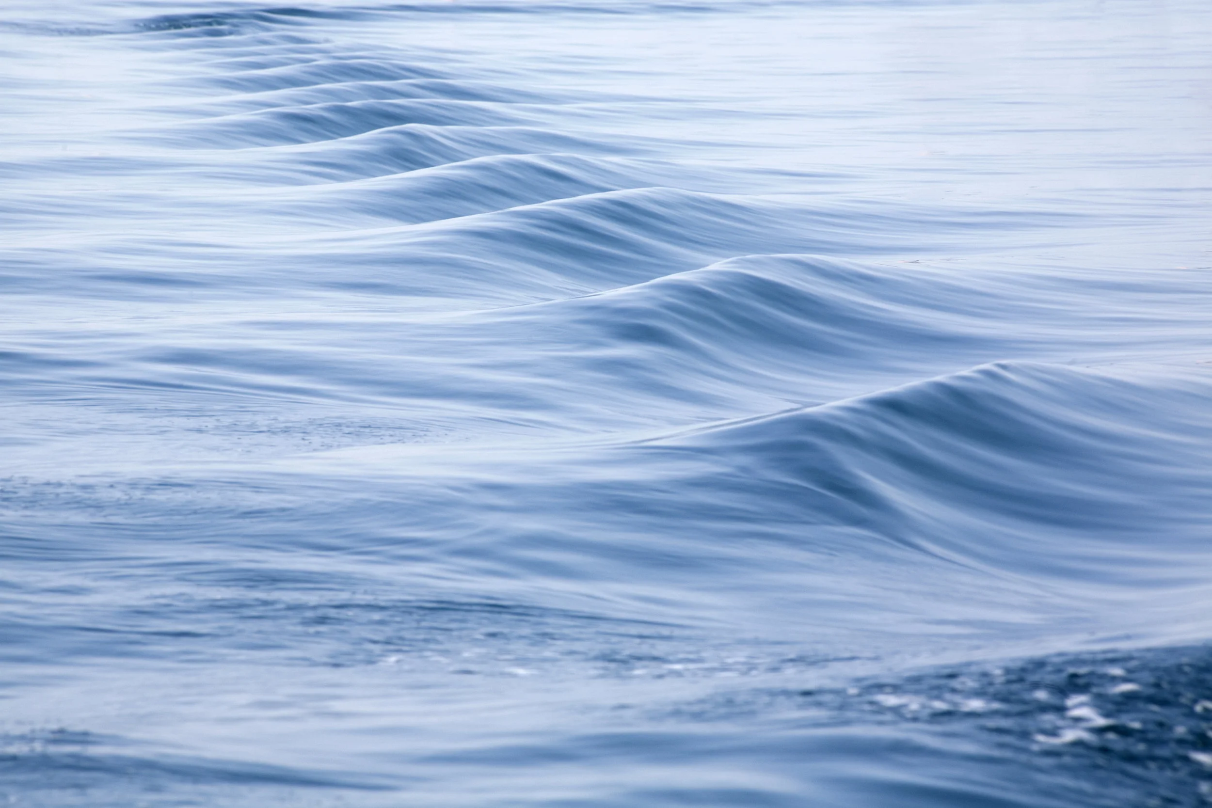 iStock-905840650.jpg