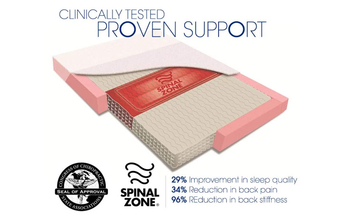 spinal_zone_305999017.jpg