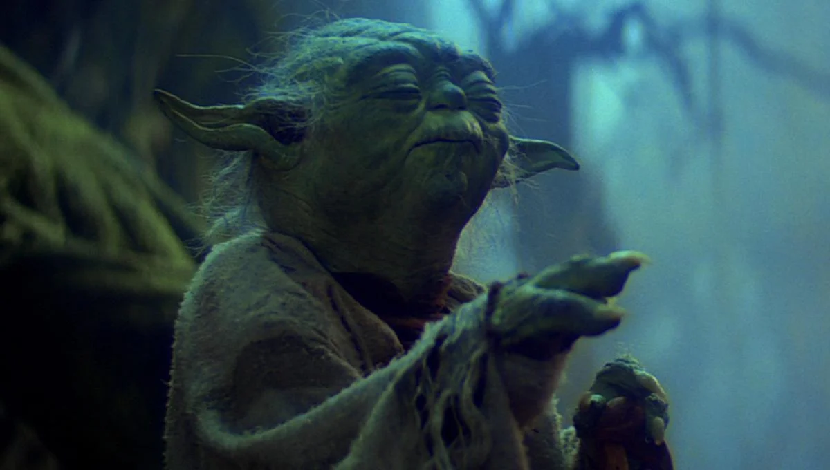 New Book, 'Be More Yoda,' Guides Fans to Jedi Enlightenment 