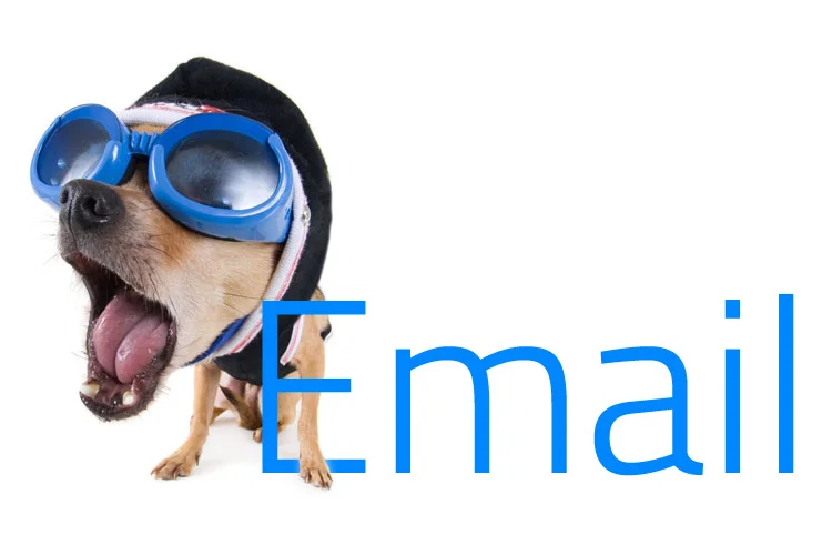 email-marketing-body.jpg
