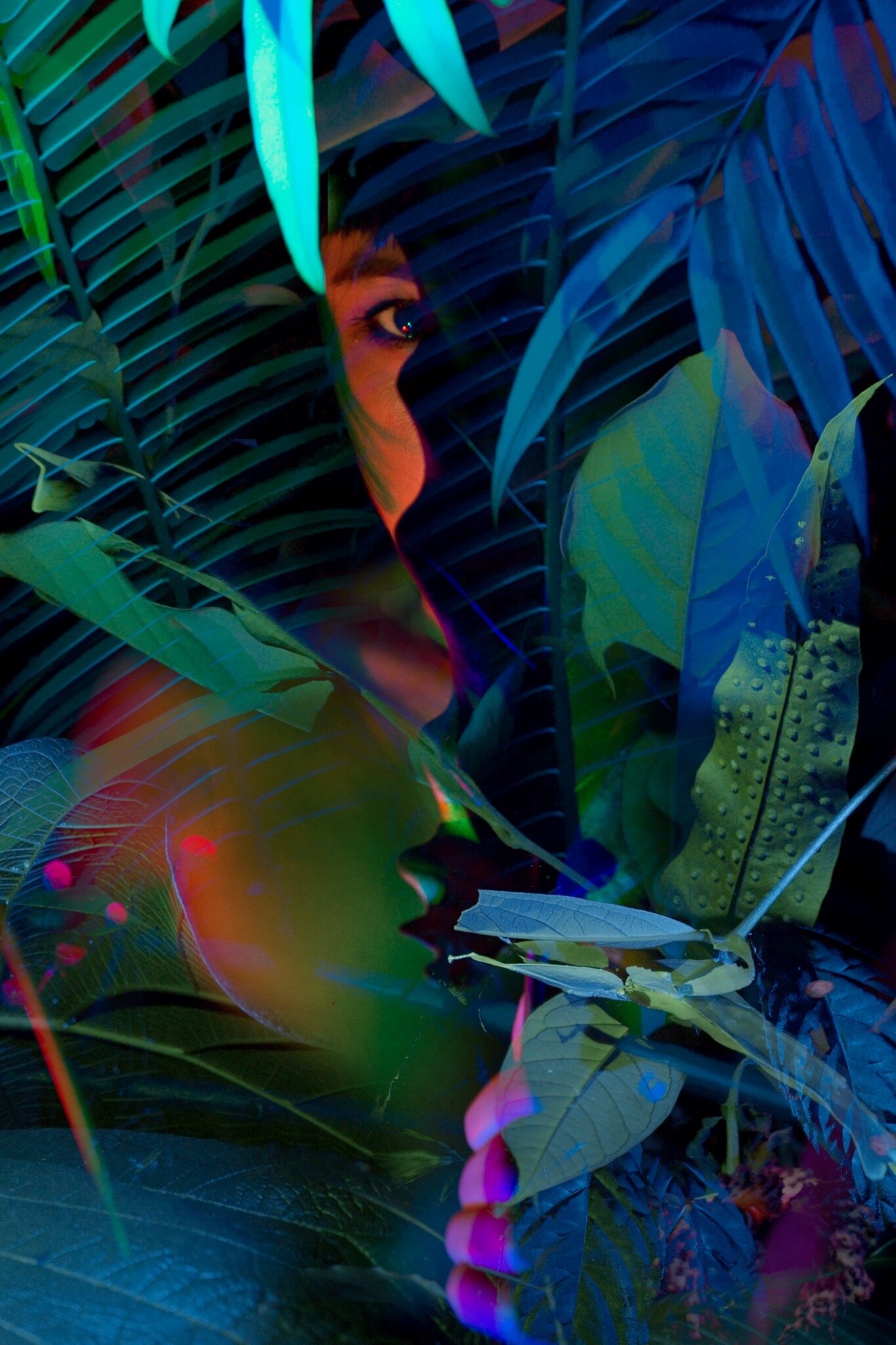 Zwoele films over nachtleven flora