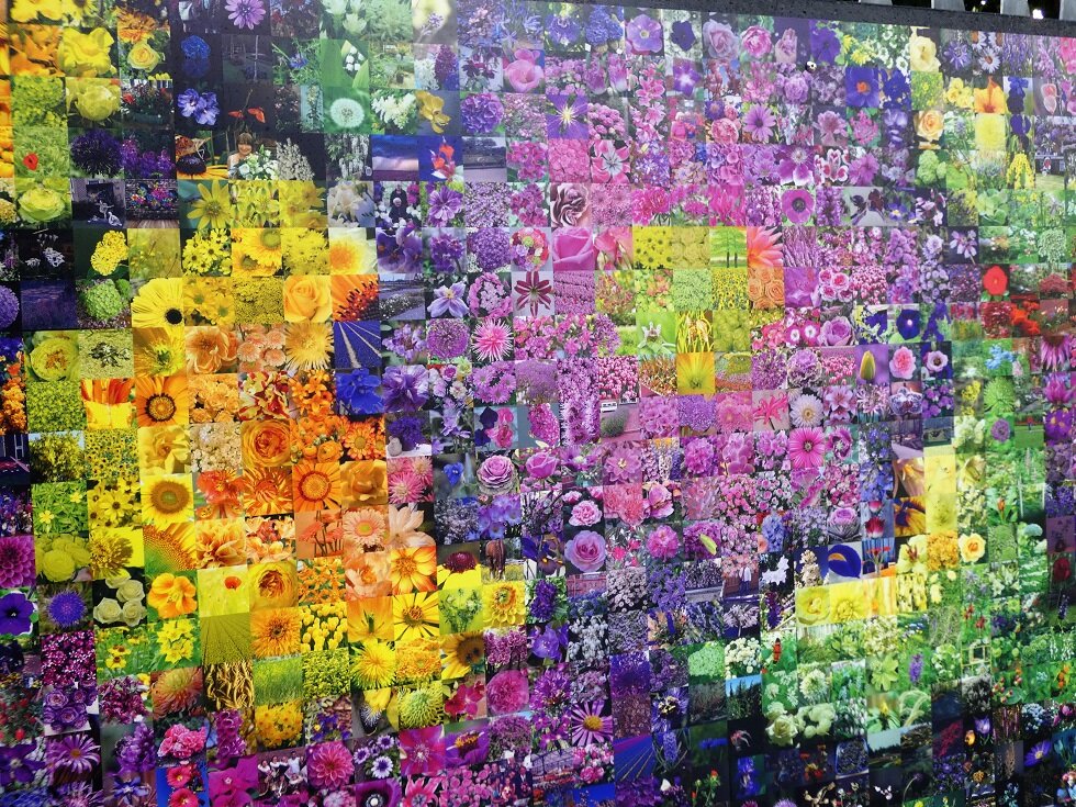 Wall of Flowers onthuld bij FAM