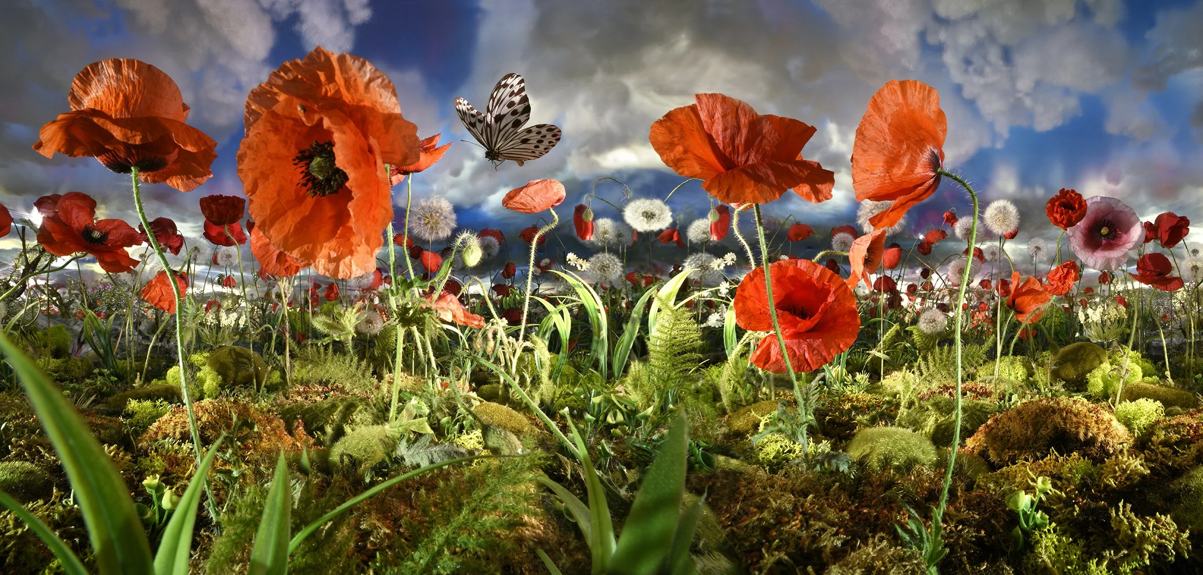 Rondleiding 'Human Nature'