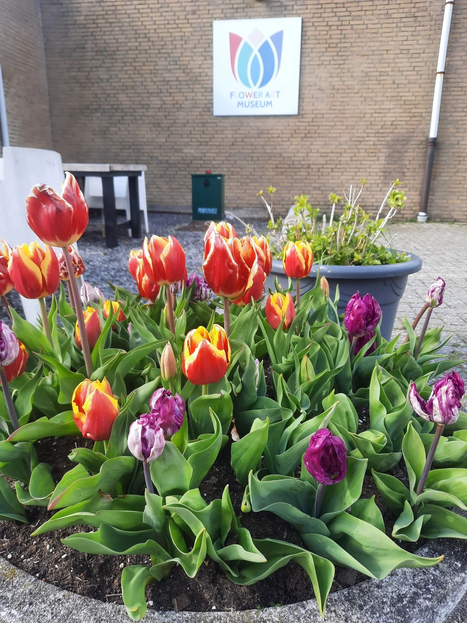 FAM zoekt vrijwilligers voor tuinendag