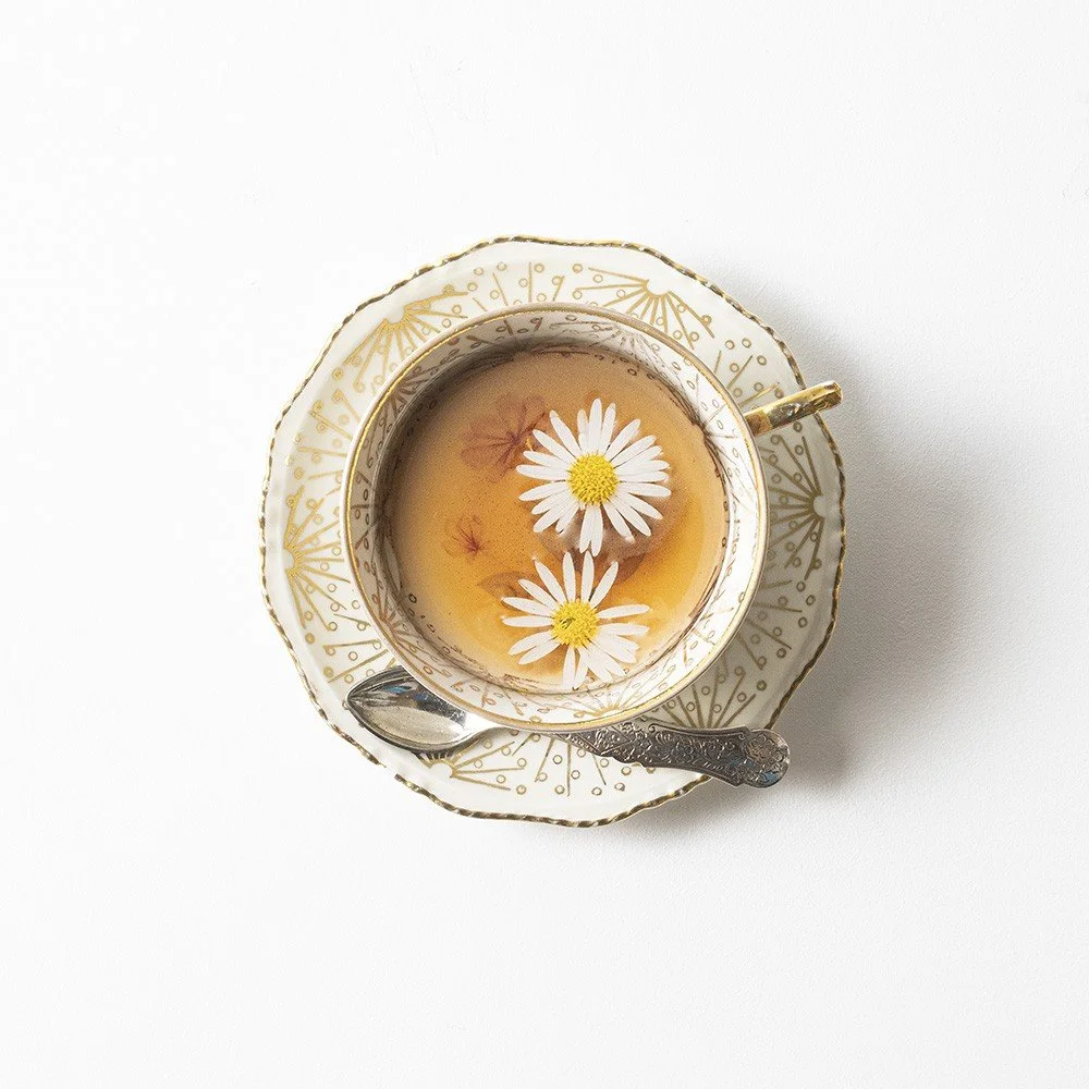 Nadja Willems / Studio Soest
