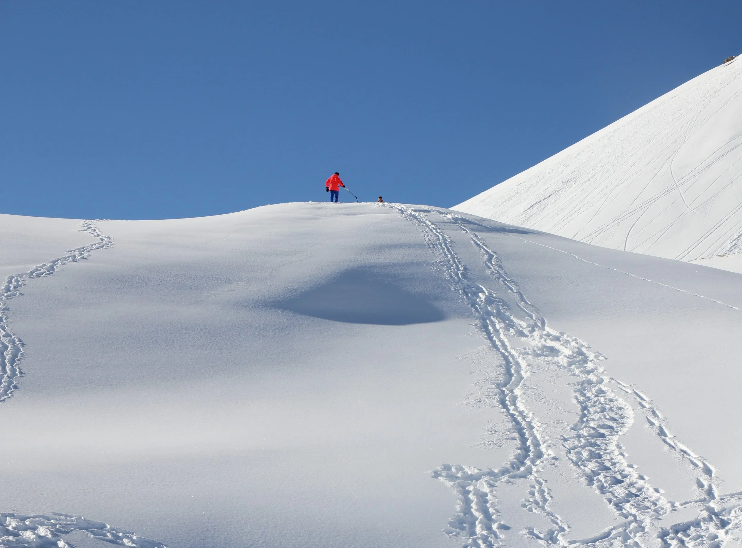 processed_IMG_4341-2 (2).JPG