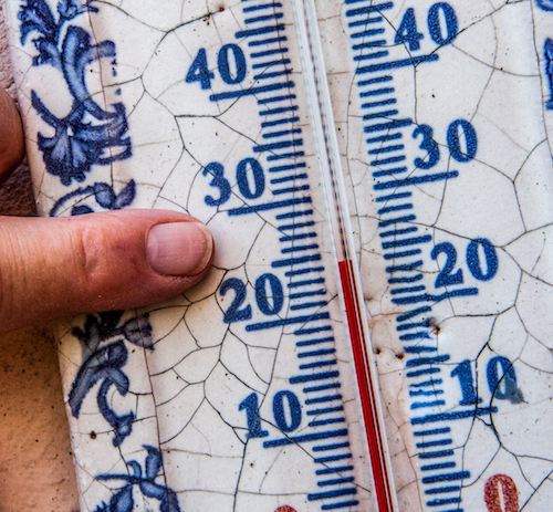 temp-1.jpg