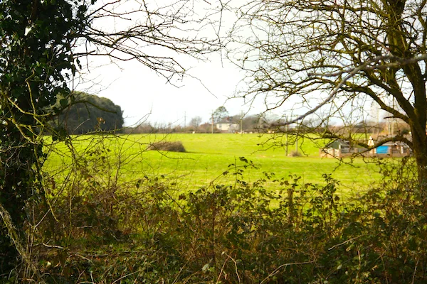 The greenfield site in Posbrook Lane where Forman Homes want to build 150 houses.