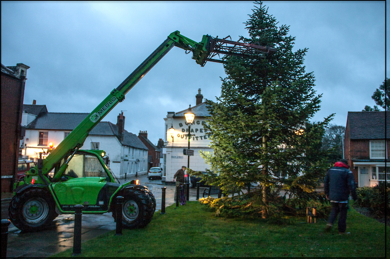 Dawn - and the tree is dropped into position