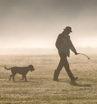 dog-walking.jpg
