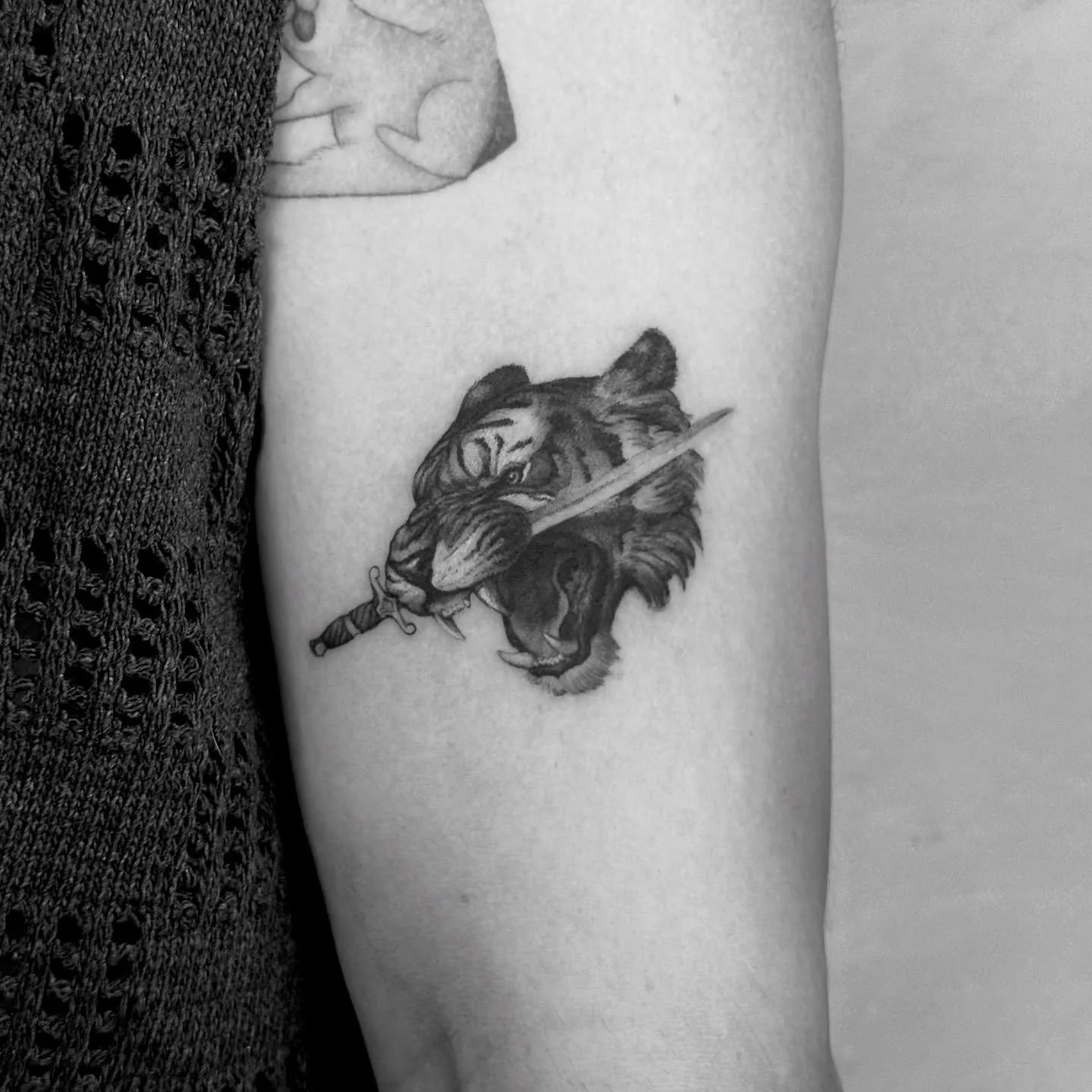 Not your baby boy tiger, this the tiger K 👑