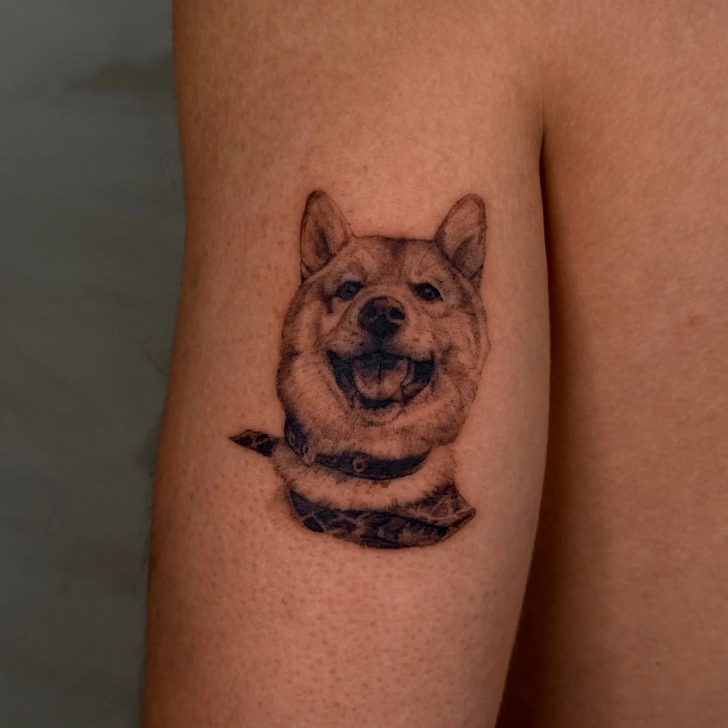 A happy puppy ❤️🐕