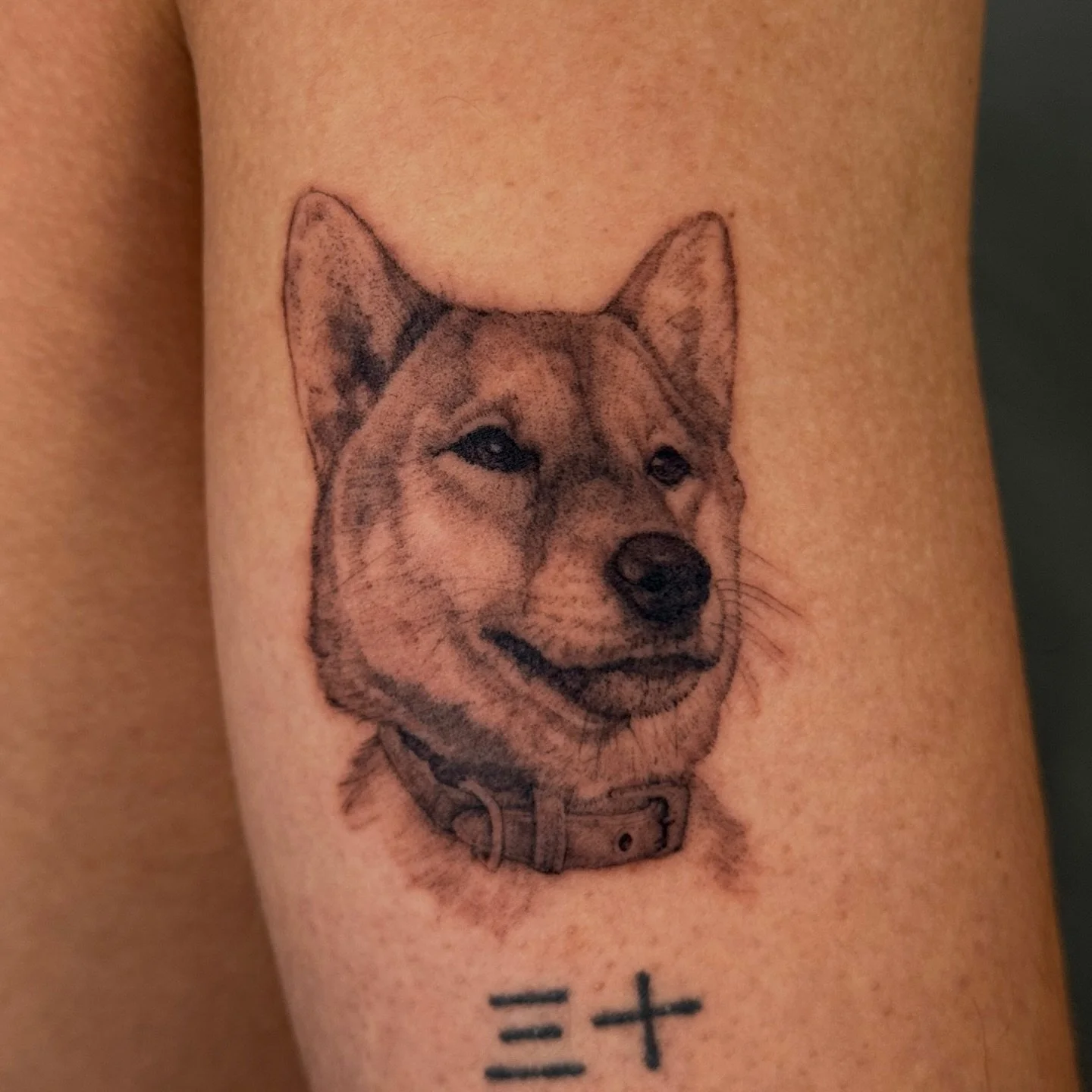 Heeeey here&rsquo;s the other doggo&rsquo;s buddy!