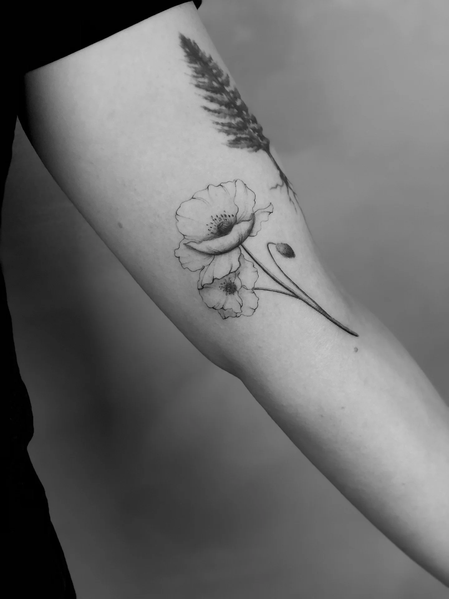 Poppy’s by @seni_tattoos
#lissabontattoo #lisboatattoo #lisbontattoo #portugaltattoo