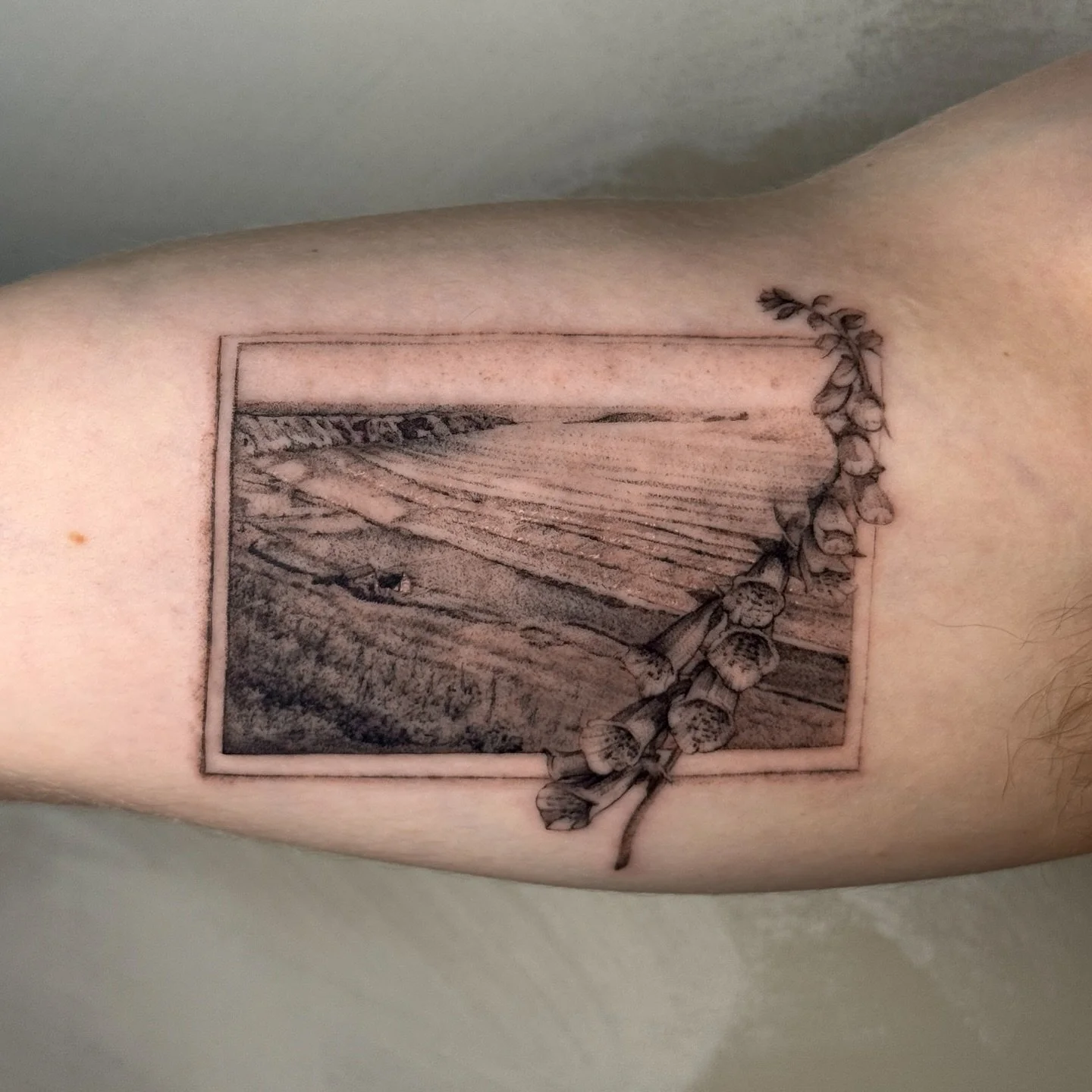 Photo from back home 🏠