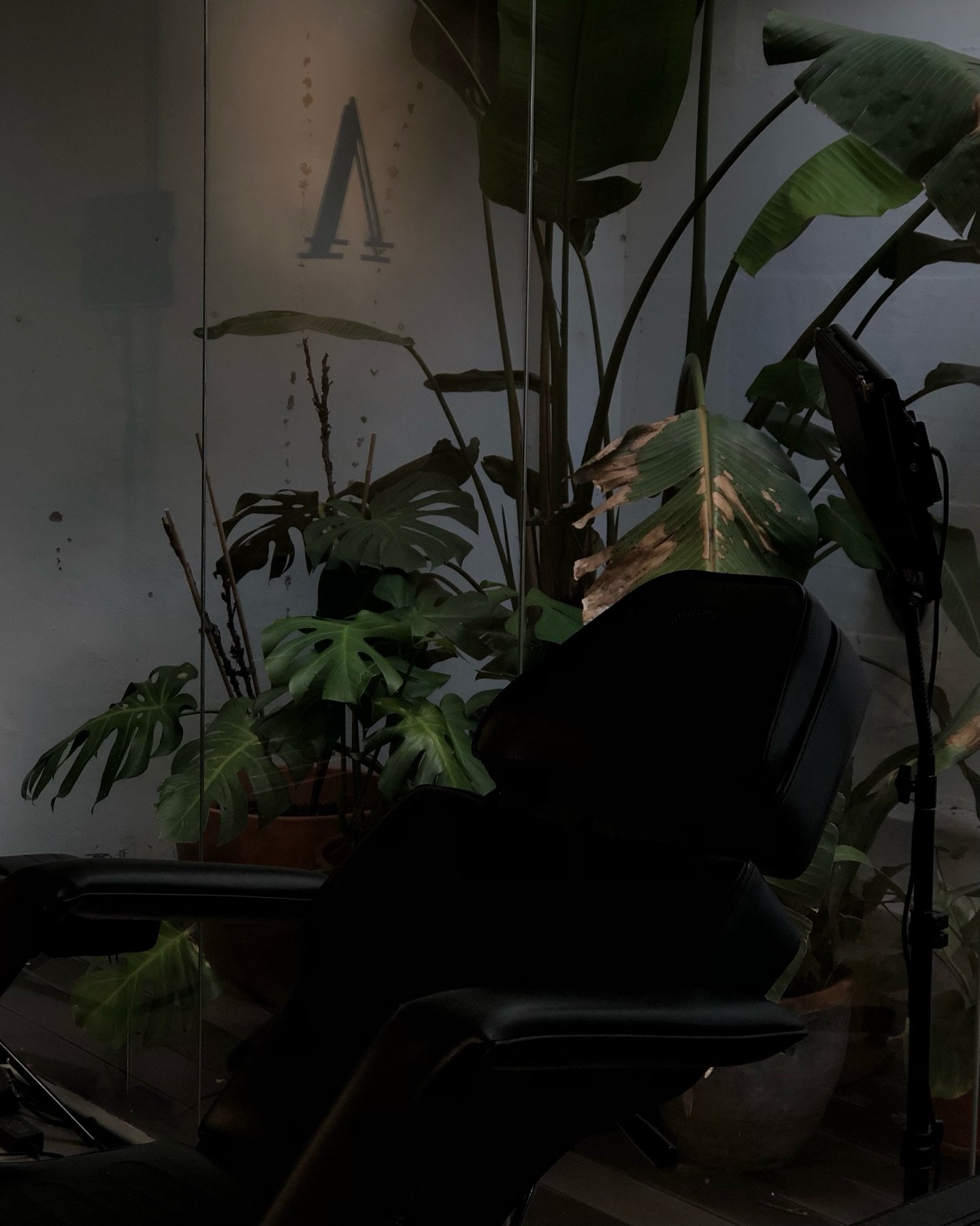 🧚

#allaprimalisboa