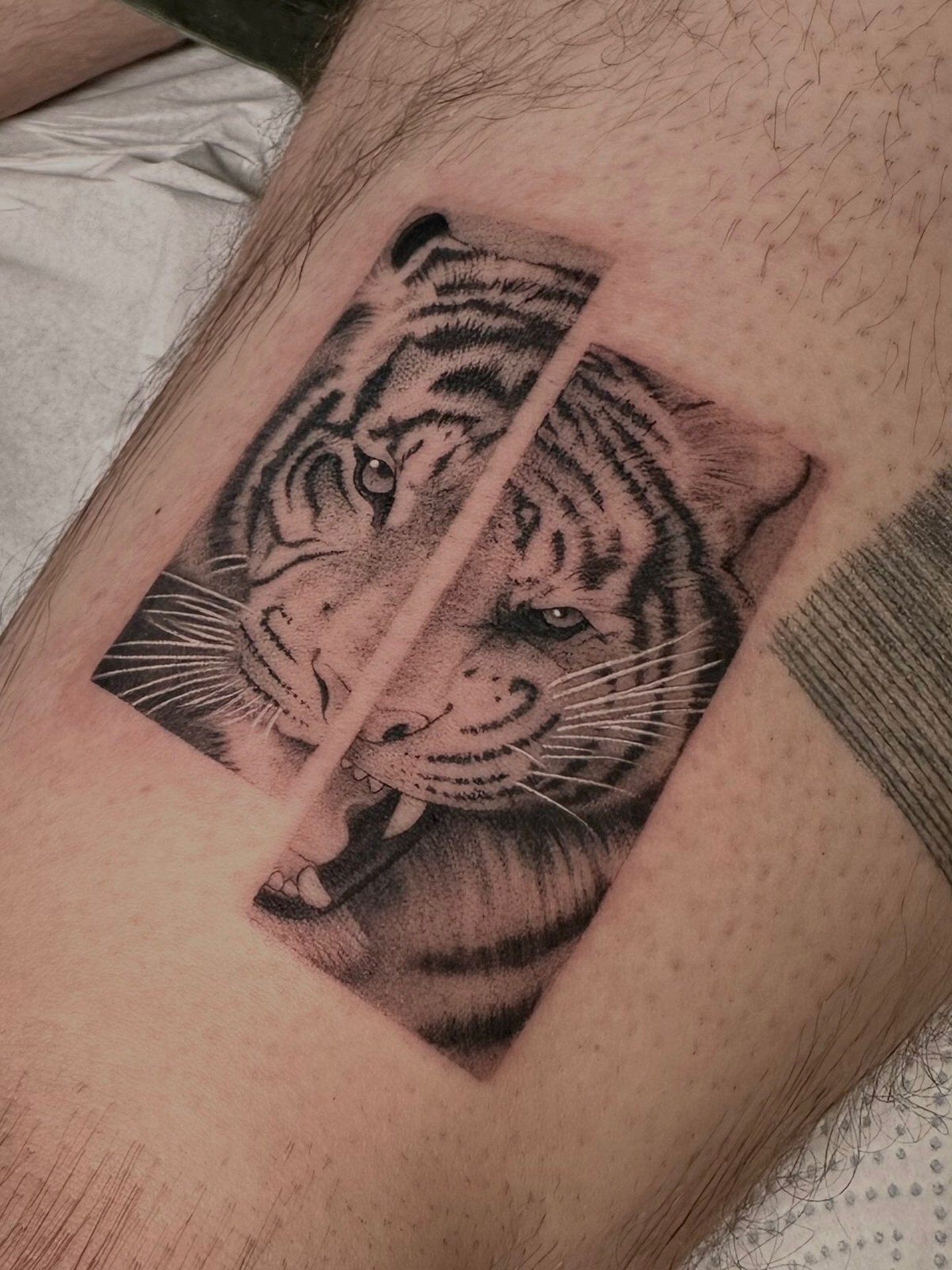 🐯 by @aaaaline_tattoo 

#finelinetattoos #allaprimalisboa #tigertattoos #finelinetattooing