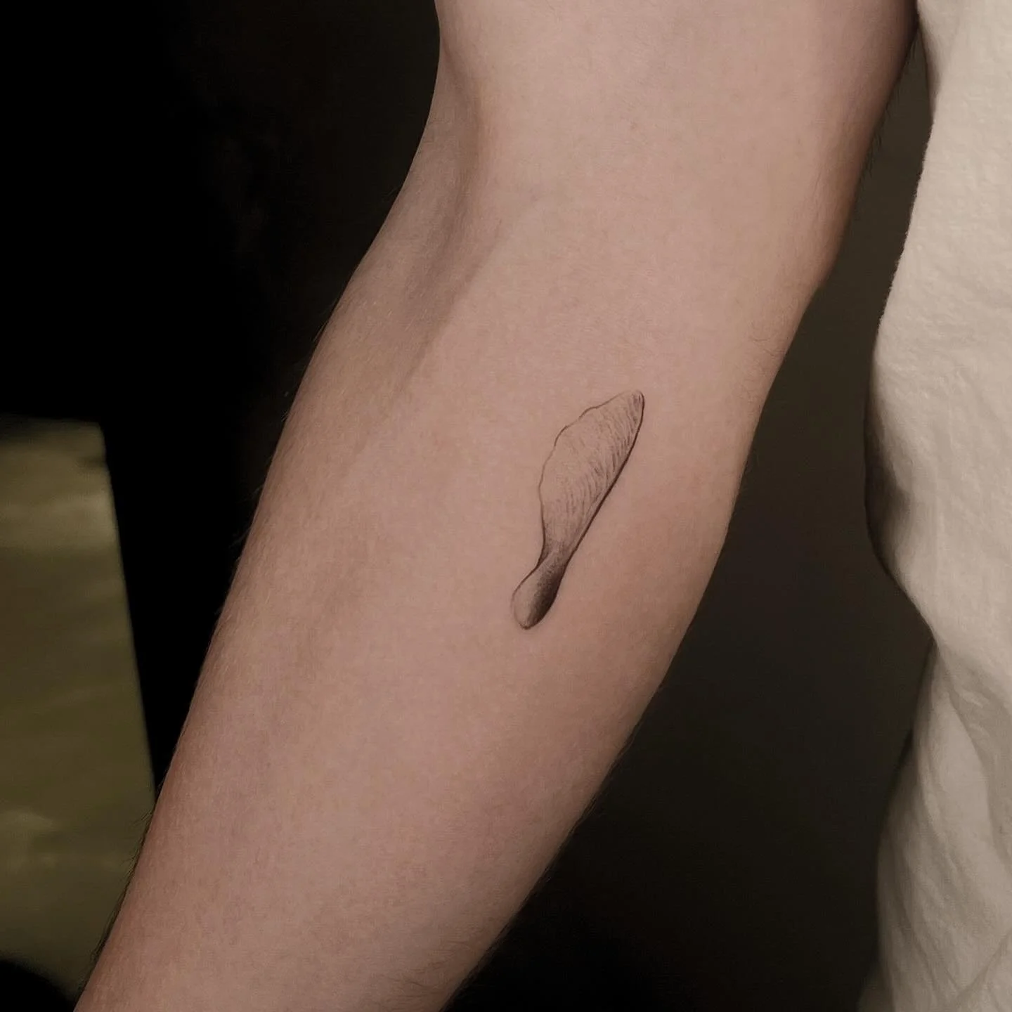 🌱🫶🏻
Done at @allaprimalisboa l
.
.
.
.
.
.
.
.
#tattoolisbon #tatuagemlisboa #tattooportugal #finelinetattoo #finelinetattoolisbon #finelinetattoolisboa #lisbontattoo #lisboatatuagem