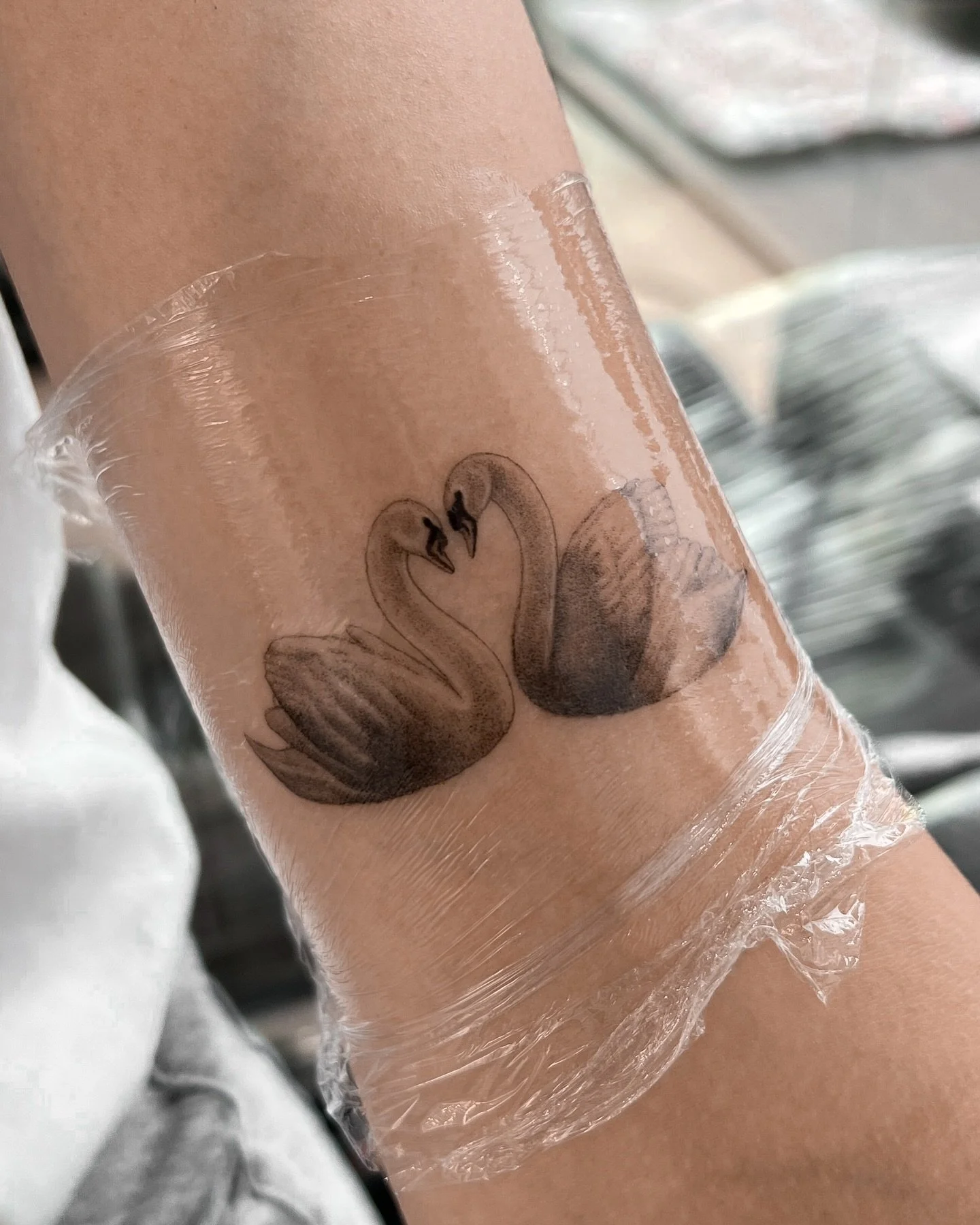 🤍🦢
⊹ Lisbon, booking is open 
For an appointment - DM ⊹
.
.
.
.
.
.
.
.
.
#tattoolisbon #tatuagemlisboa #tattooportugal #finelinetattoo #finelinetattoolisbon #finelinetattoolisboa #lisbontattoo #lisboatatuagem #lisboa #lisbon #tattoo #microrealism 