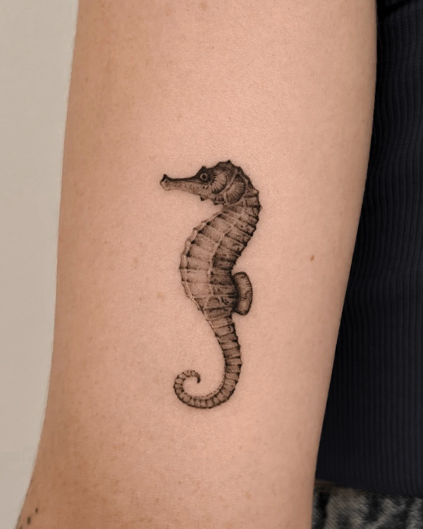 Lisbon, booking is open for November-December 🤍
Bookings via DM 🔆
.
.
.
.
.
#tattoolisbon #tatuagemlisboa #tattooportugal #finelinetattoo #finelinetattoolisbon #finelinetattoolisboa #lisbontattoo #lisboatatuagem #fineline #microrealism