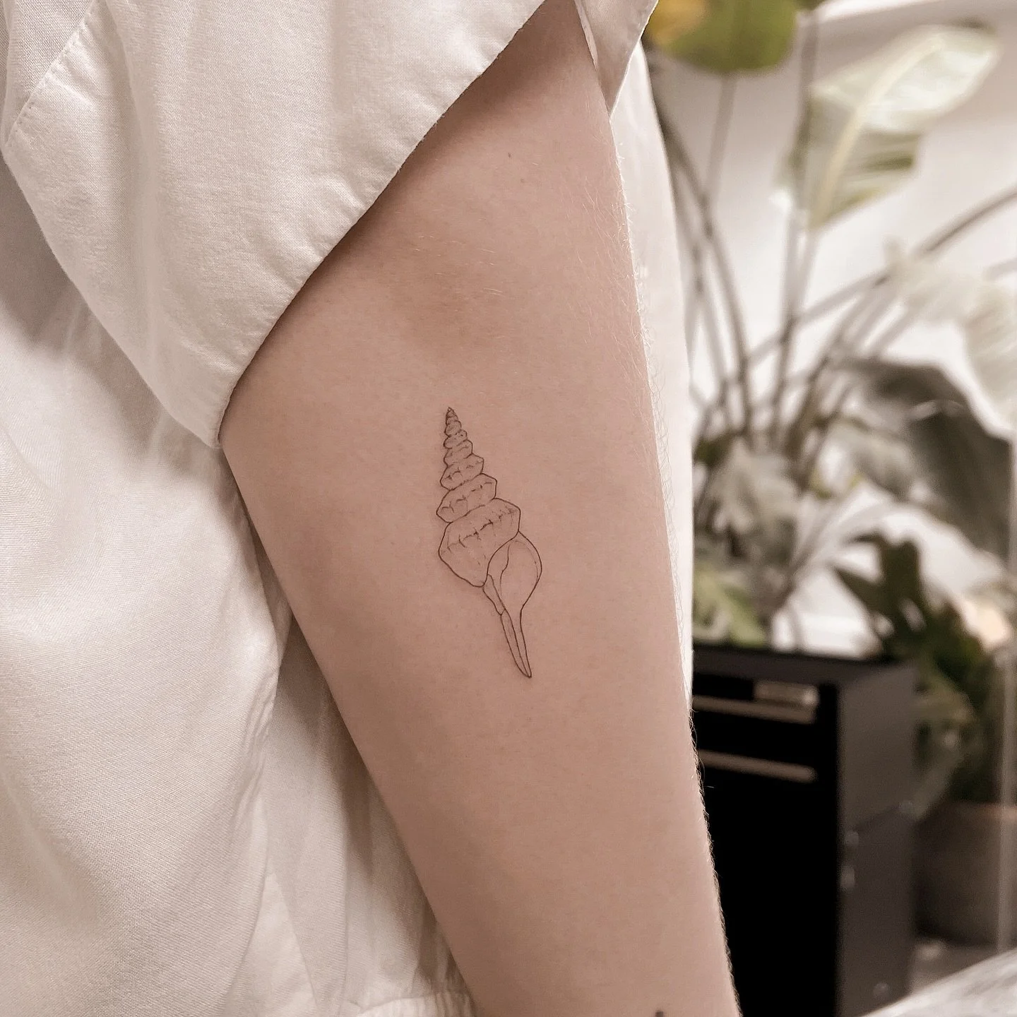 DM to book your tattoo in Lisbon 🐚🫧
.
.
.
.
#tattoolisbon #tatuagemlisboa #tattooportugal #finelinetattoo #finelinetattoolisbon #finelinetattoolisboa #lisbontattoo #lisboatatuagem