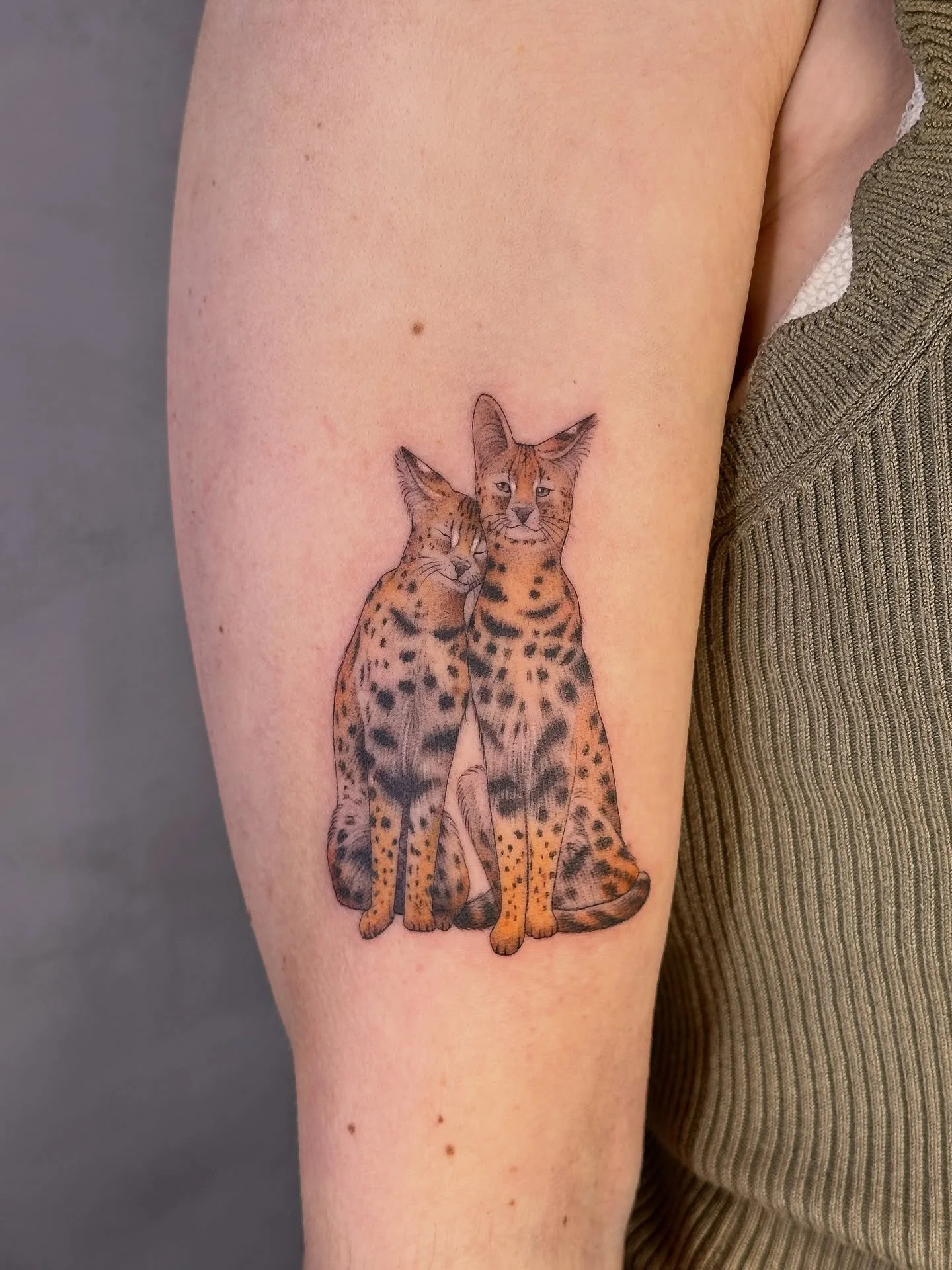 Servais feito para a Camille ✨