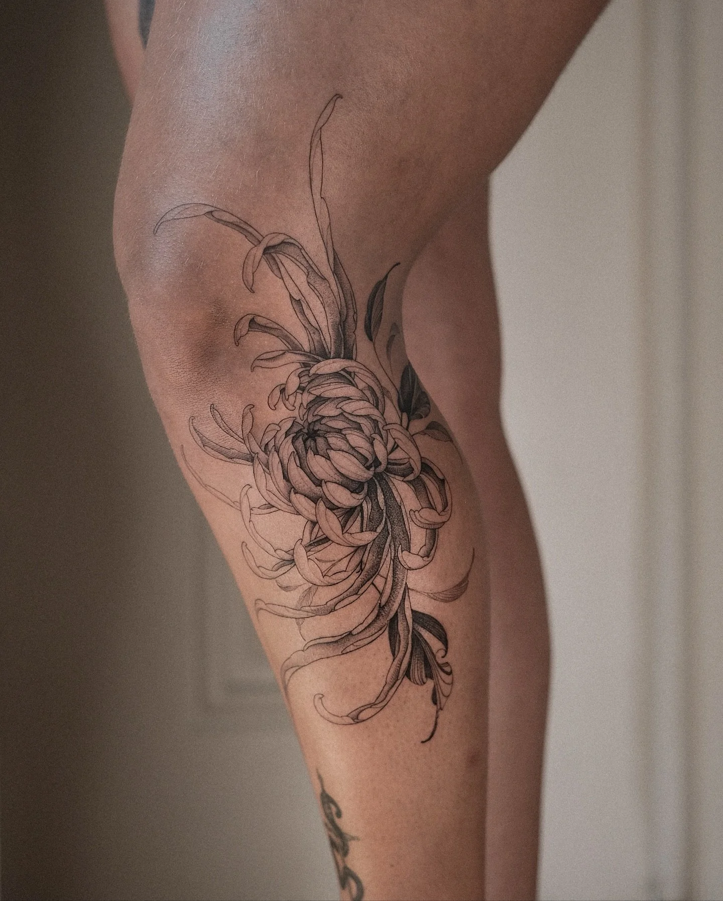 Freehand chrysanthemum, thank you Laura once again 🖤
✣ Bookings open for Lisbon ✣ 
November - December
 
For info/appointments: 
DM / ricardogtattooer@gmail.com / website
*limited spots
 
 
 
#floraltattoo #chrisantemumtattoo #flowertattoo #fineline