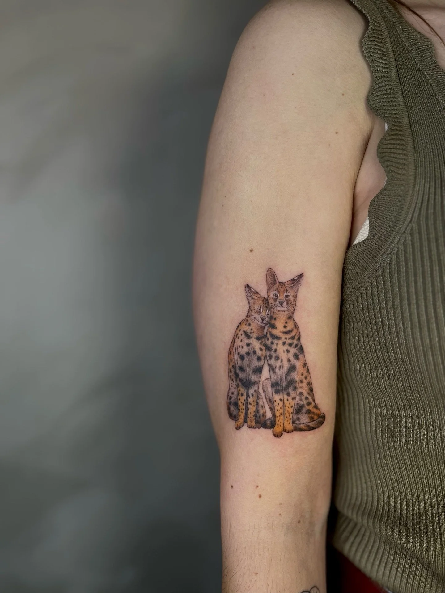 🐆 by @aaaaline_tattoo 

#microrealismtattoo #flashtattoos #flashtattooart #finelinetattooartist