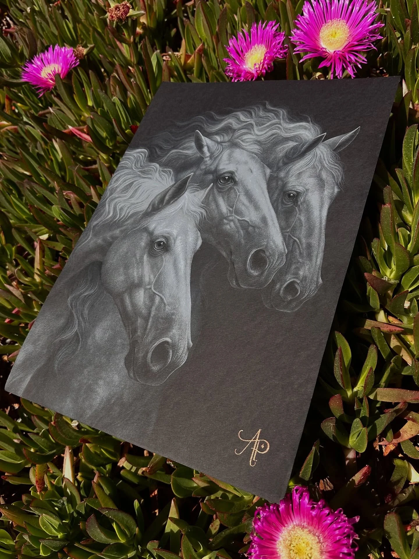 Cavalos feito em papel preto com l&aacute;pis de cor aquarel&aacute;vel ✨