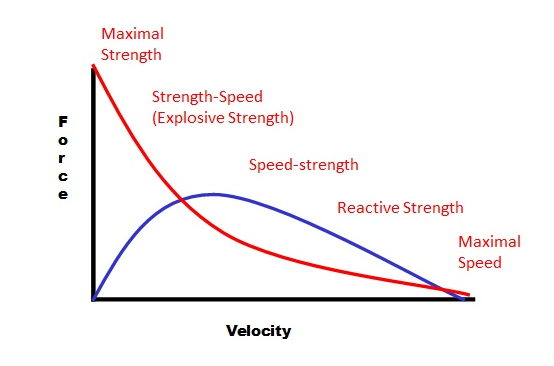 FV Curve.png