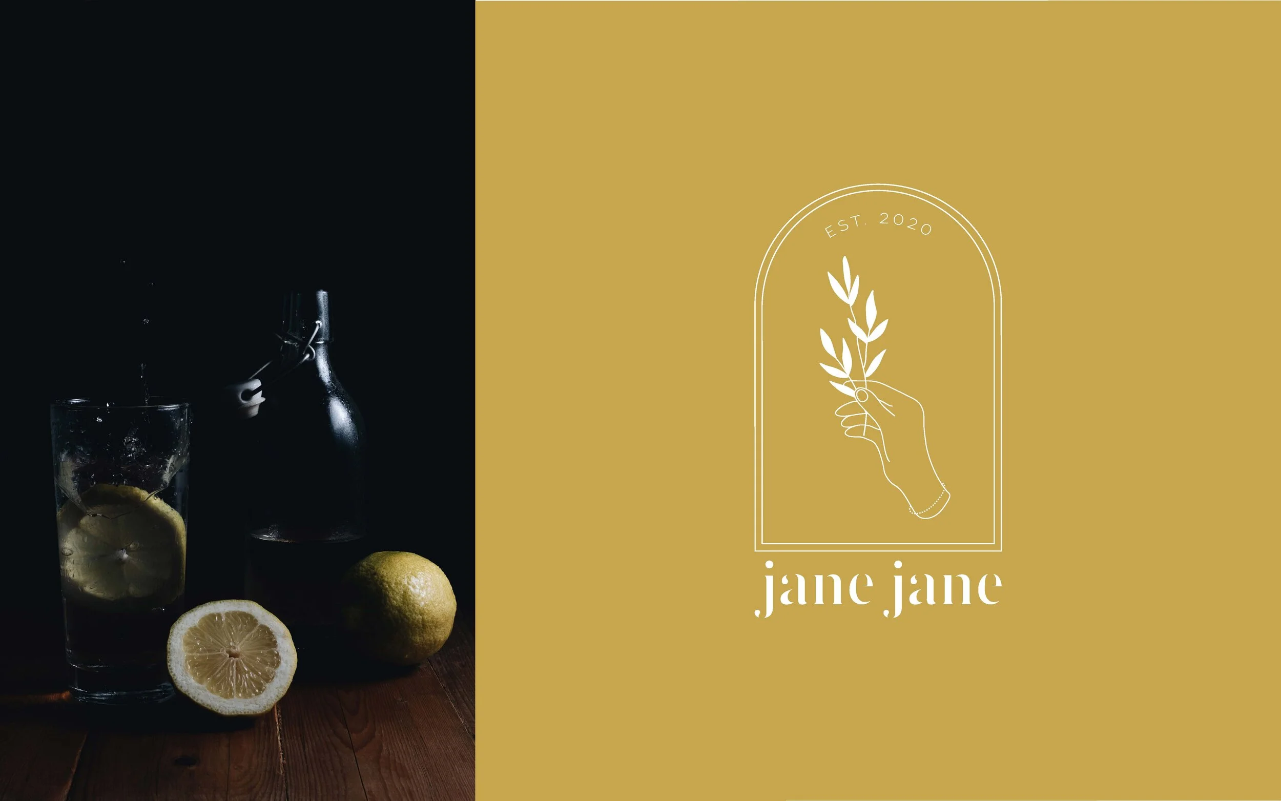JaneJane_Logo Development_Phase2_Page_2.jpg