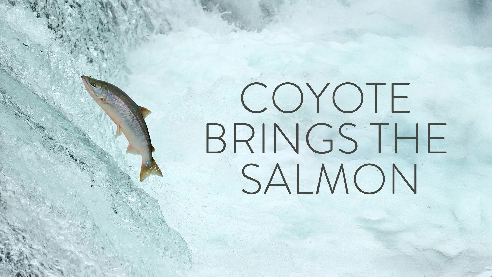 300-001421_Coyote-Brings-the-Salmon.jpg