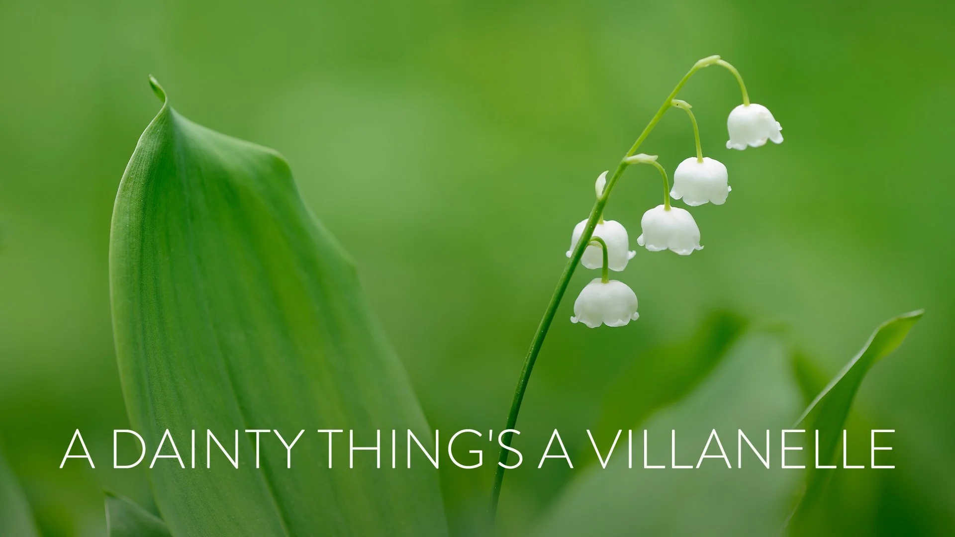 300-001847_A-Dainty-Thing's-a-Villanelle.jpg
