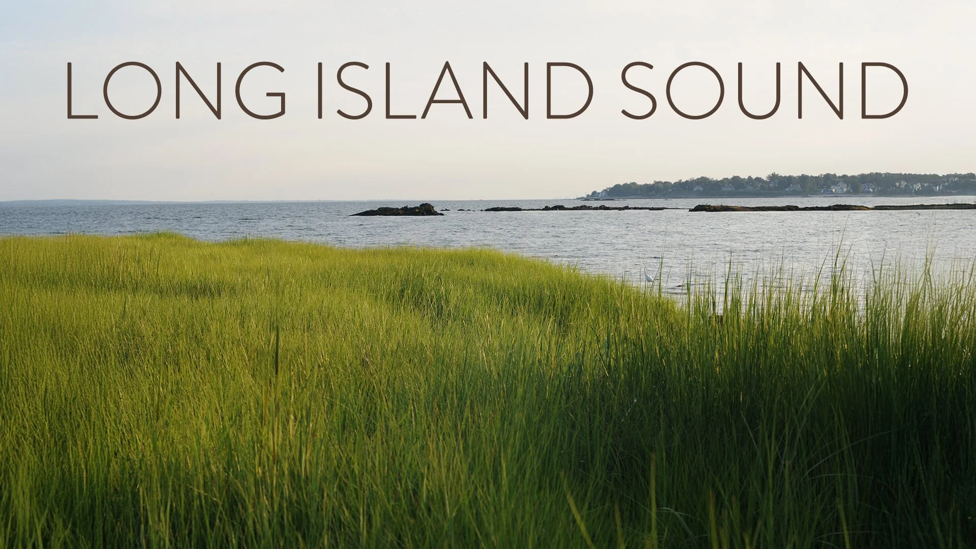 300-001994_Long-Island-Sound.jpg