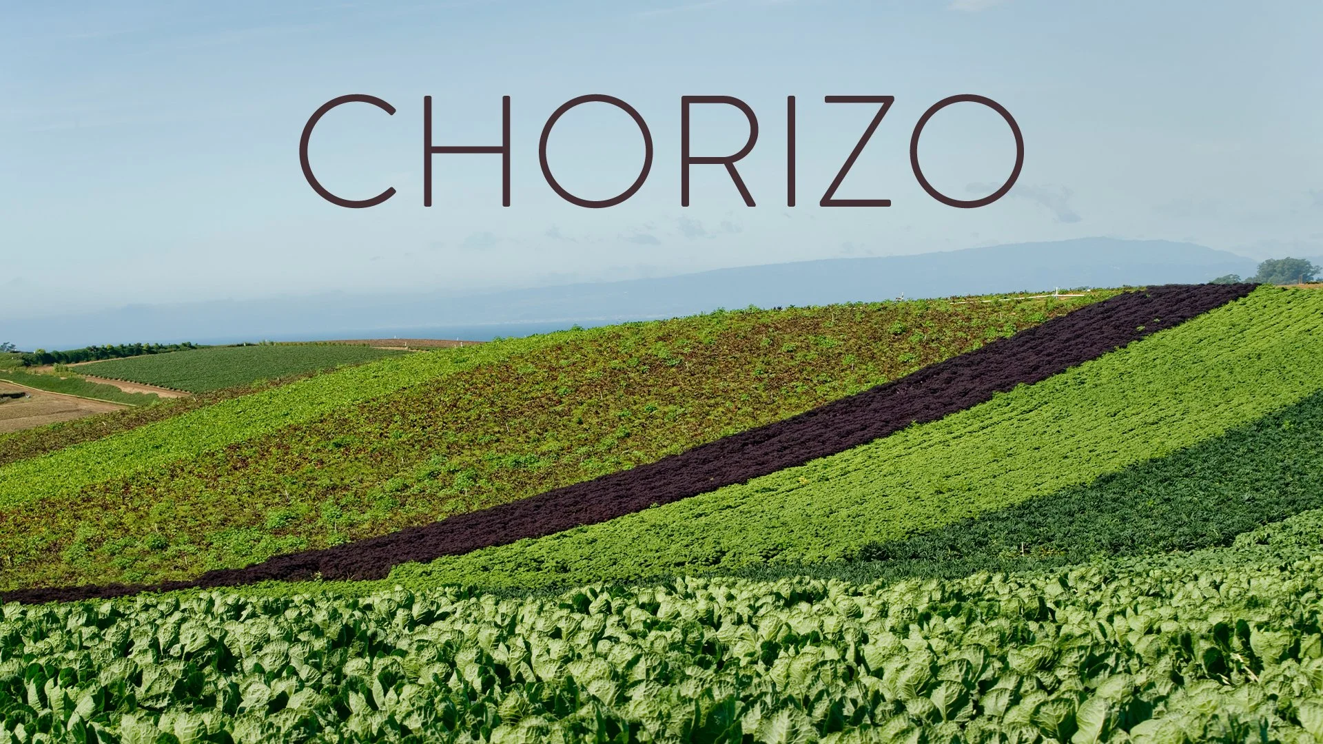 300-002372_Chorizo.jpg