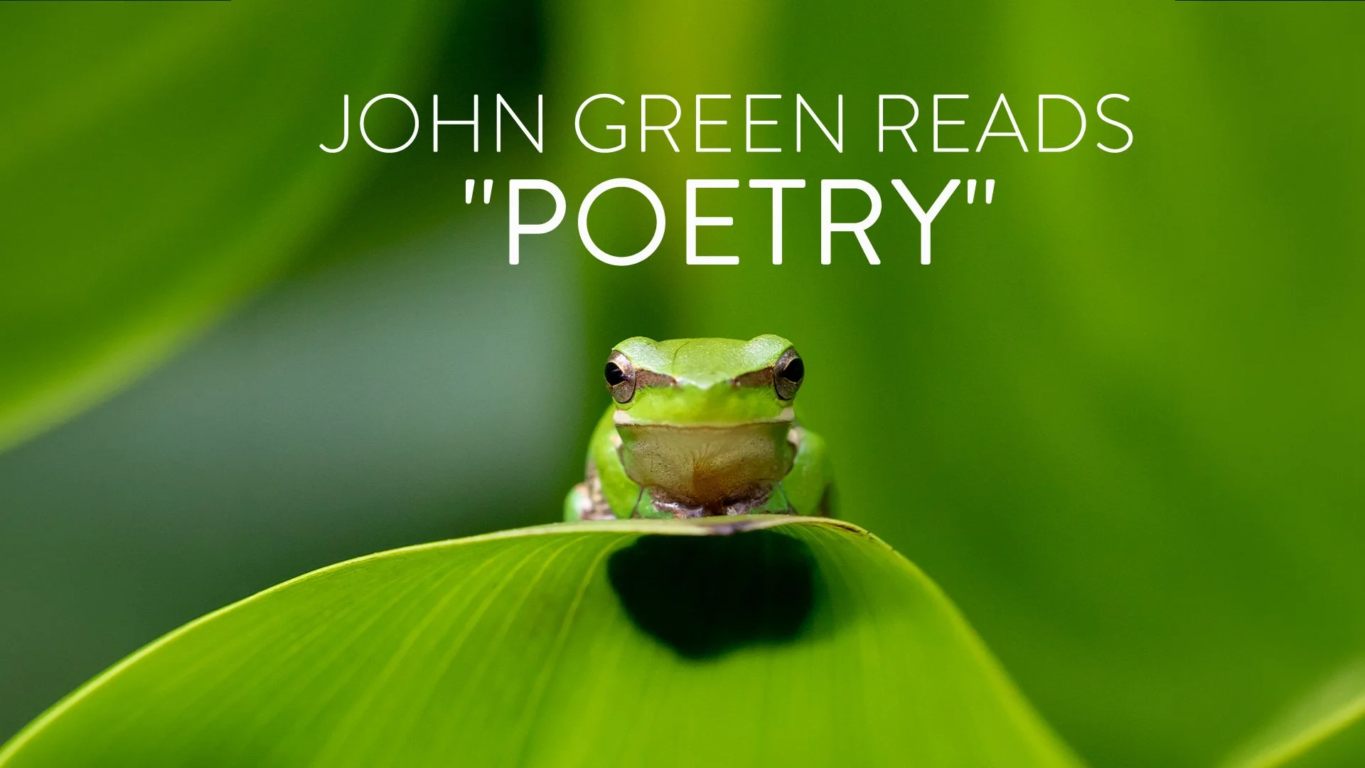 300-002581_John-Green-Reads-'Poetry'.jpg