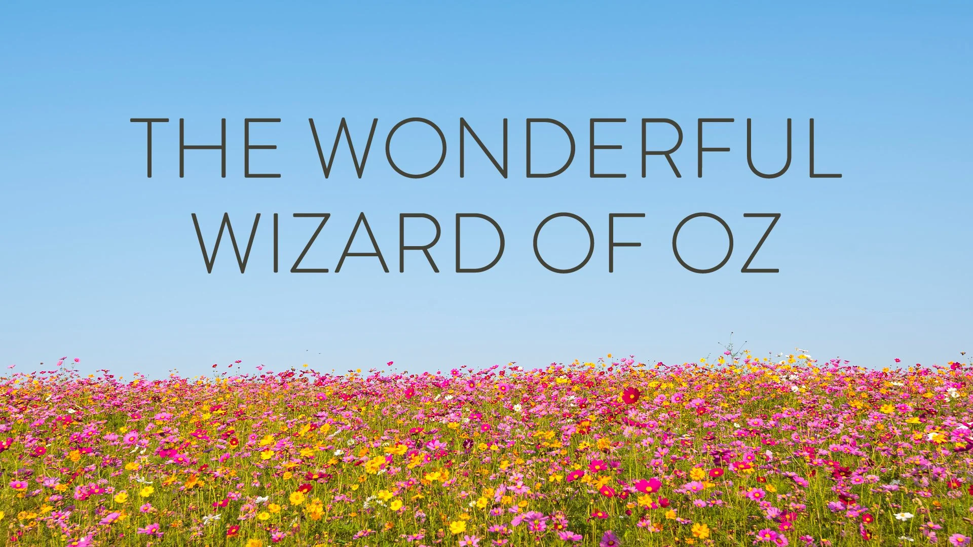 300-002997_The-Wonderful-Wizard-of-Oz.jpg