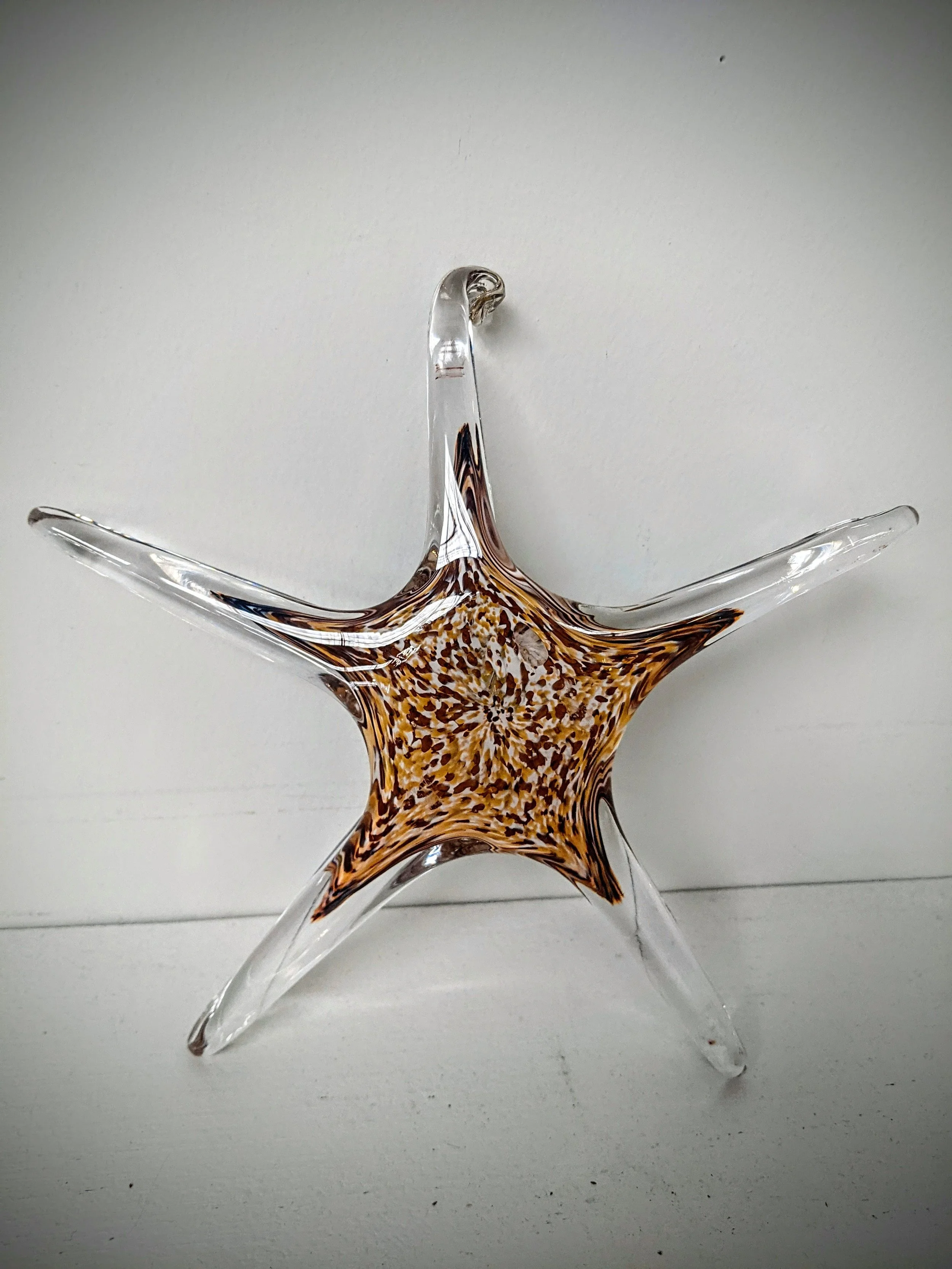 Glass Starfish