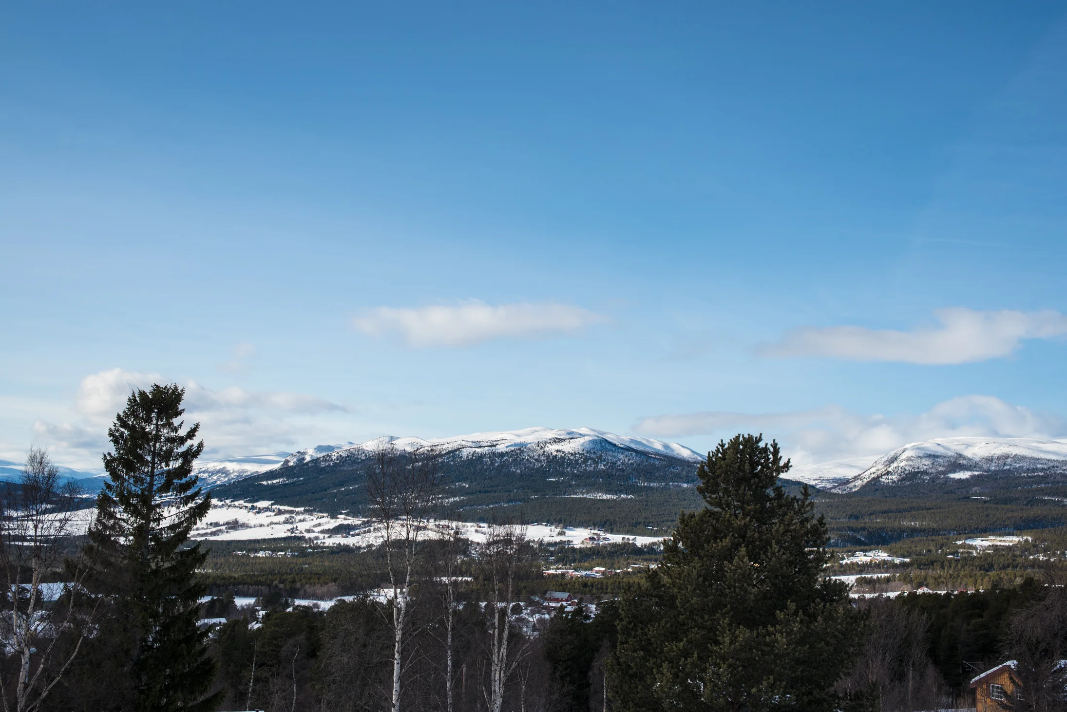 Flere rom har flott utsikt.