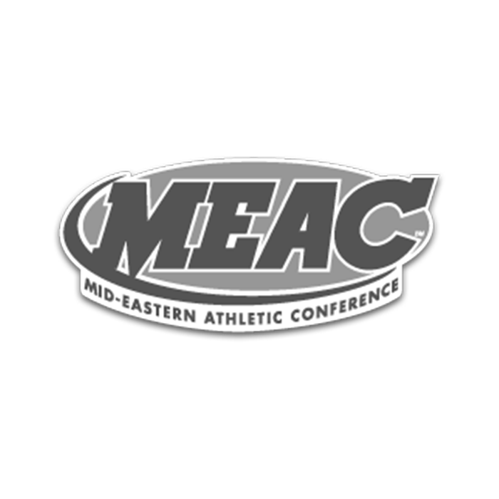 meac_koozball.png