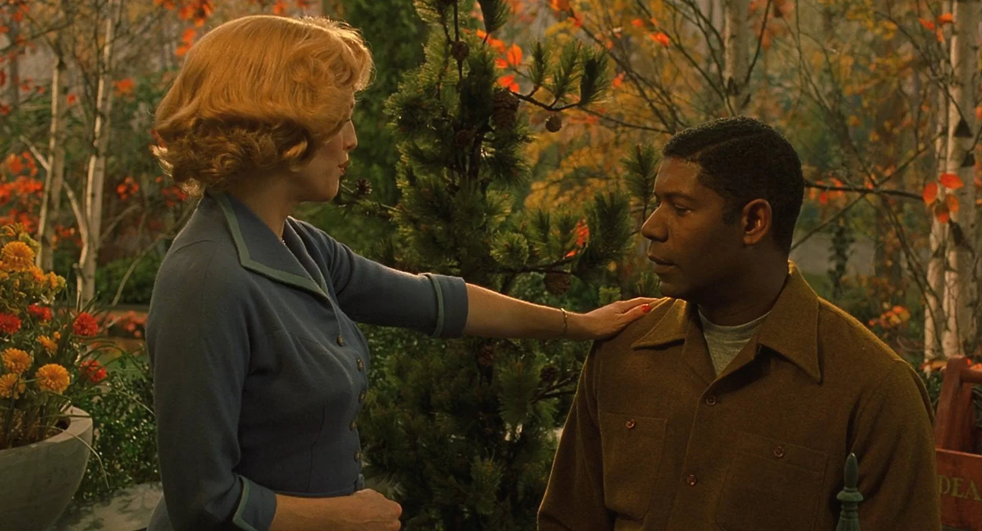   Far From Heaven  (Haynes, 2002) 